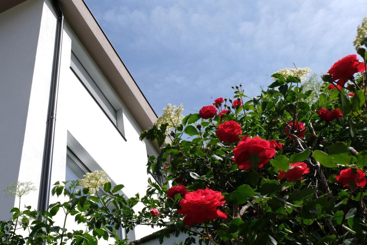 Apartment Le Rose Di Marianne - Sud Vahrn Εξωτερικό φωτογραφία